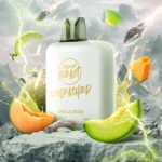 flavour beast review​